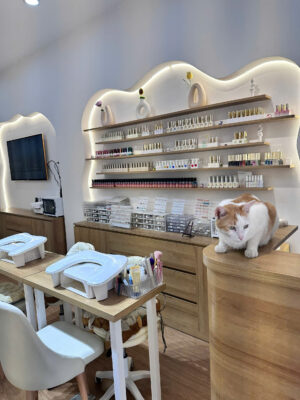THIẾT KẾ TIỆM NAIL XINH